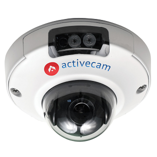 AC-D4111IR1 # Миниатюрная вандалозащищенная IP-камера